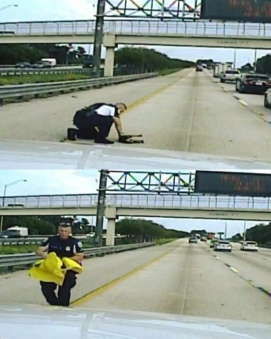 A Hero on the Highway: How Officer Puglia Saved a Life That Couldn’t Speak for Help.