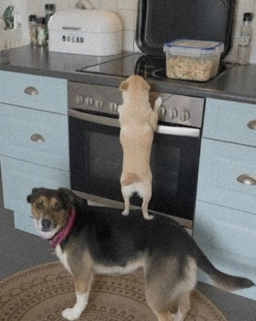 The Mystery Thief Who Brought a Father Closer to His Past