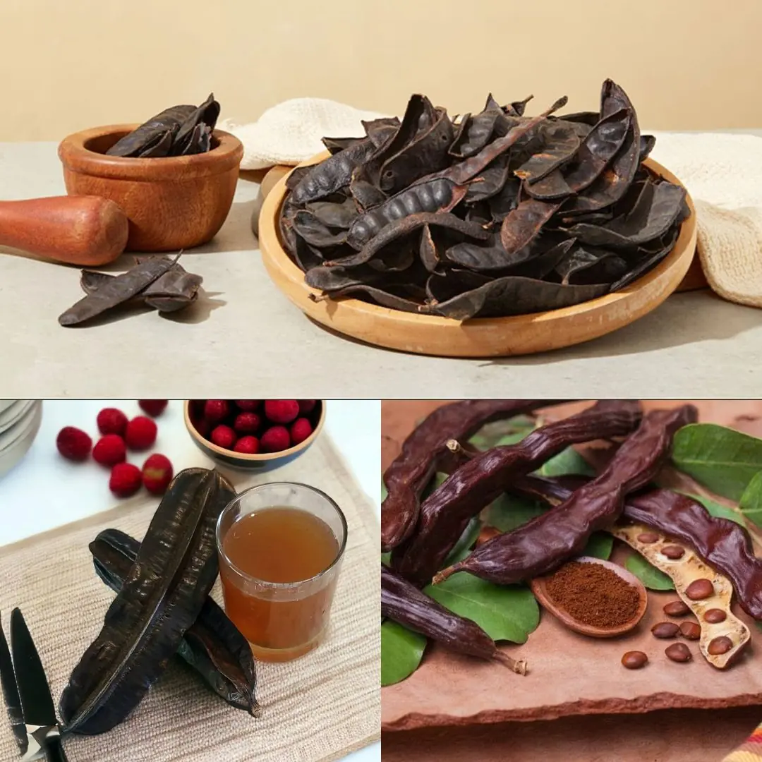 Carob (Ceratonia siliqua): Benefits and Homemade Uses