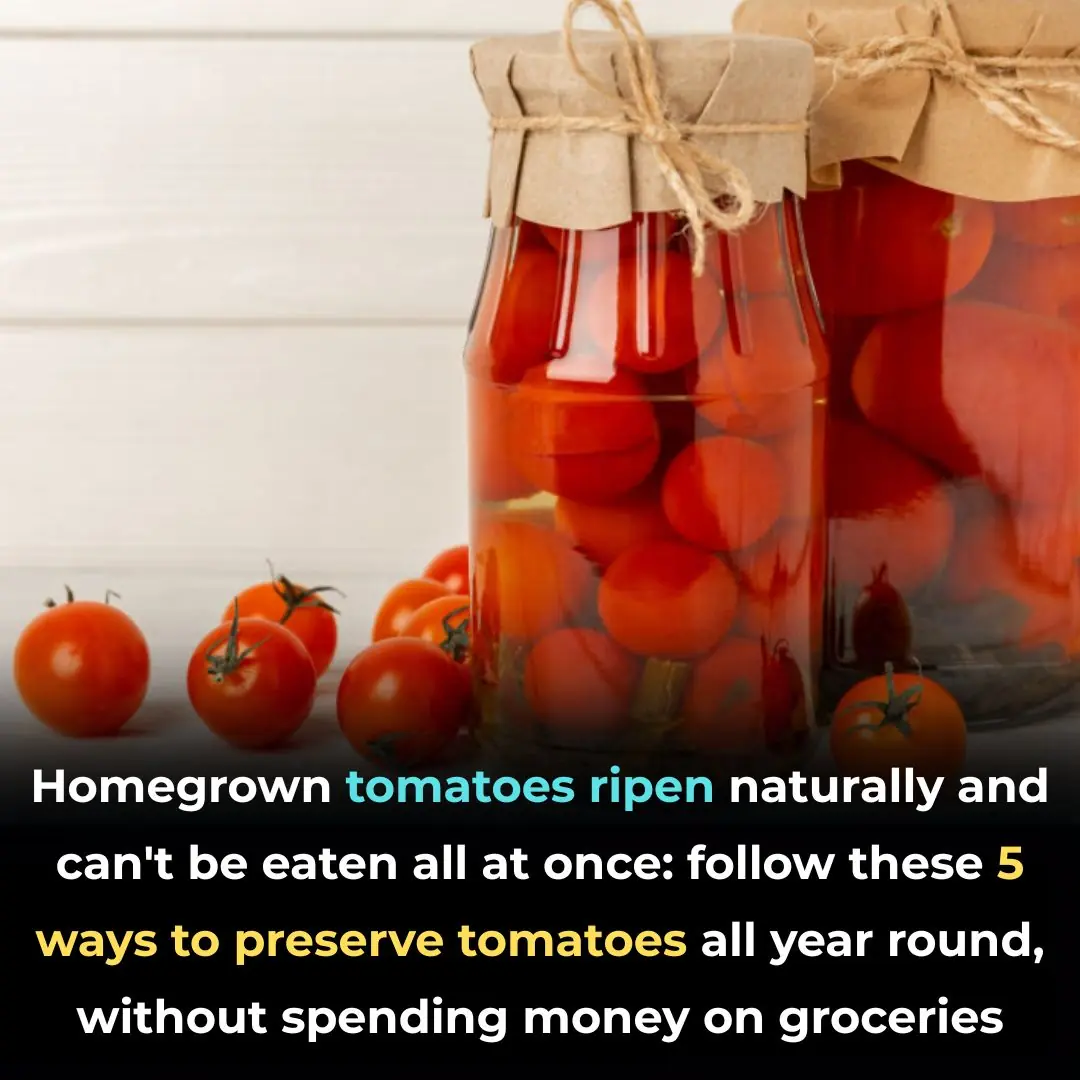 Homegrown Tomatoes Ripening Naturally? Try These 5 Preservation Methods to Enjoy Them All Year Without Spending a Dime at the Market