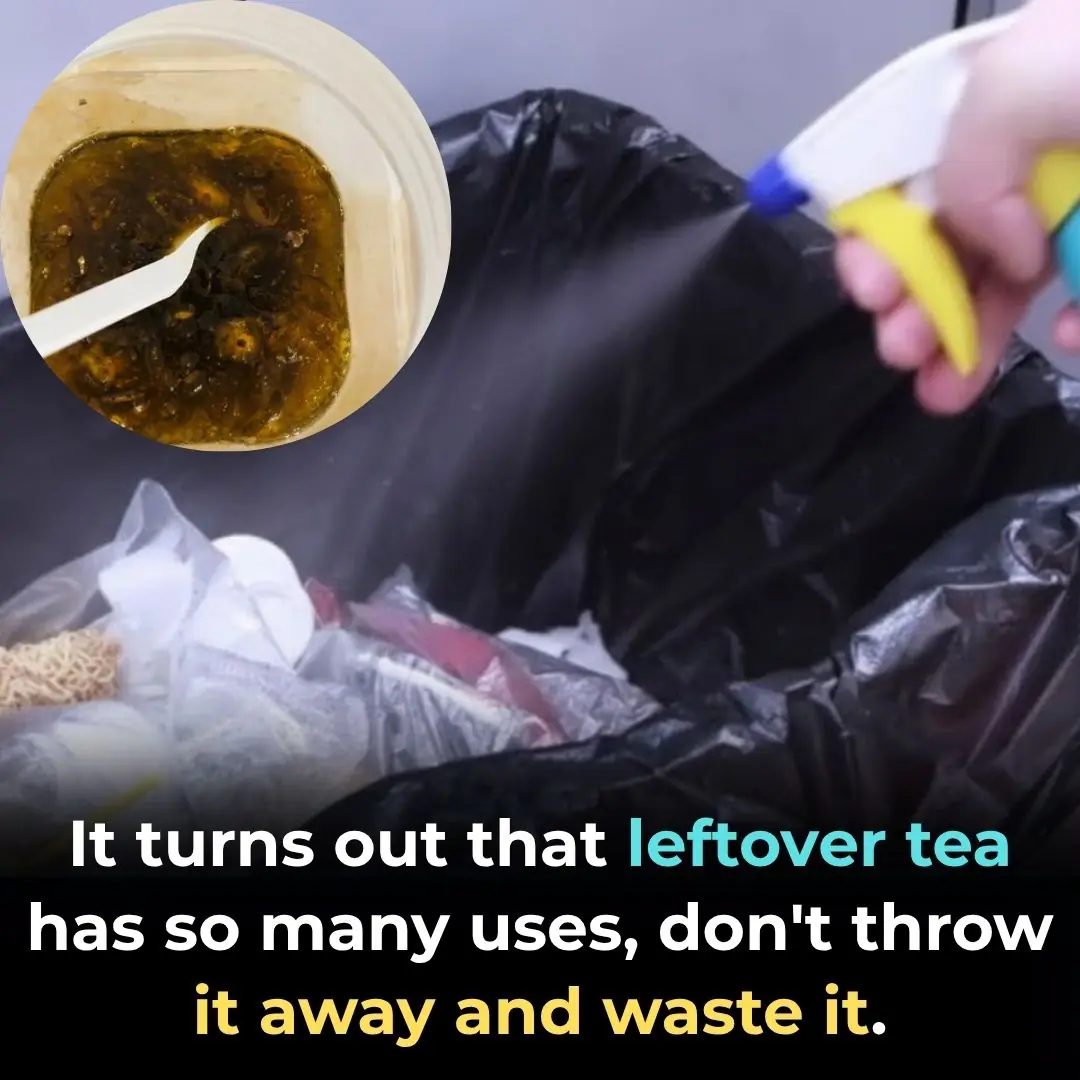 Don’t Throw Away Leftover Tea! Overnight Tea Water Has Many Surprising Uses Around the House