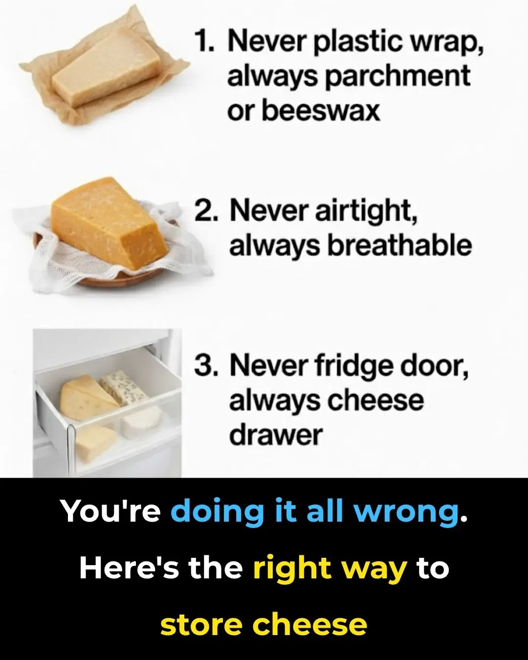 You’re Doing It All Wrong. Here’s the Right Way to Store Your Cheese