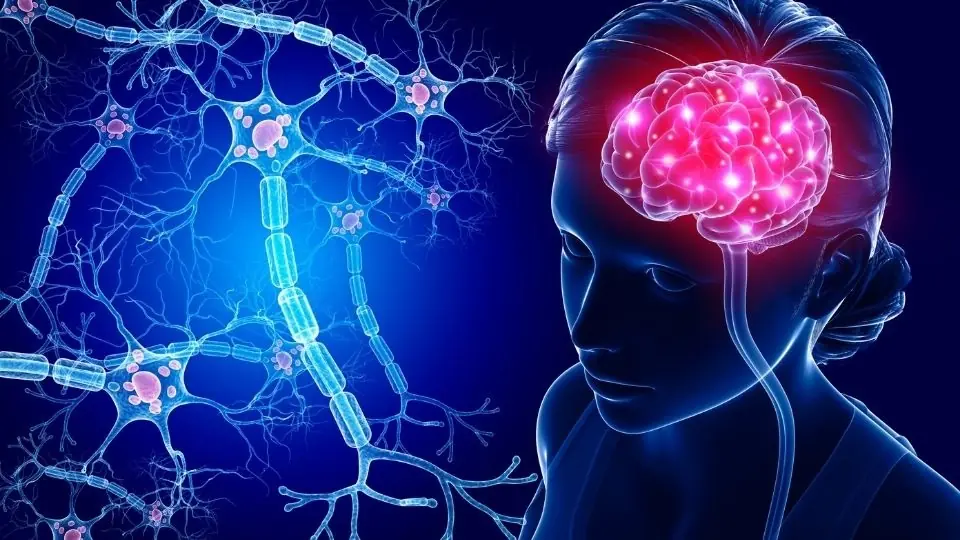 Scientists explain shocking reality of what your brain sees right before you die