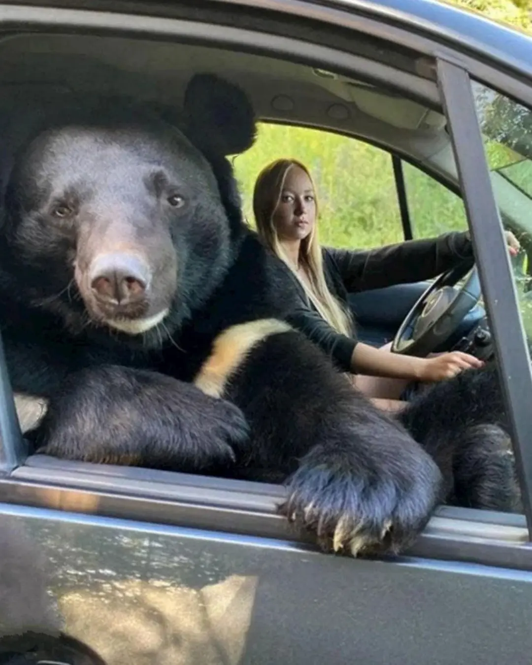 The Bear Who Rode Beside Her.