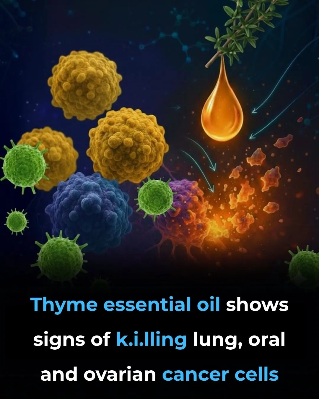 Thyme Essential Oil Shows Signs of Killing Lung, Oral and Ovarian Cancer