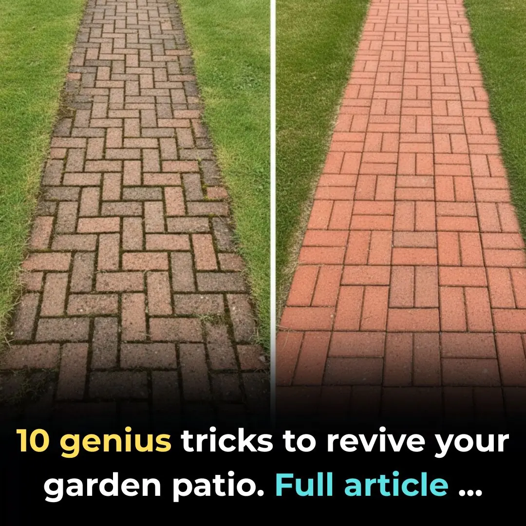 10 genius tricks to revive your garden patio