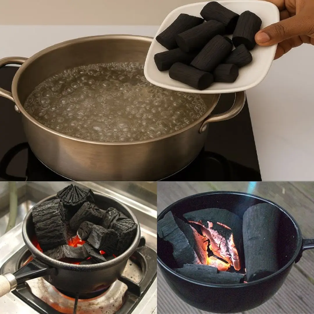 DIY Survival Water Filter: A Simple Life-Saving Tool You Can Make Anywhere