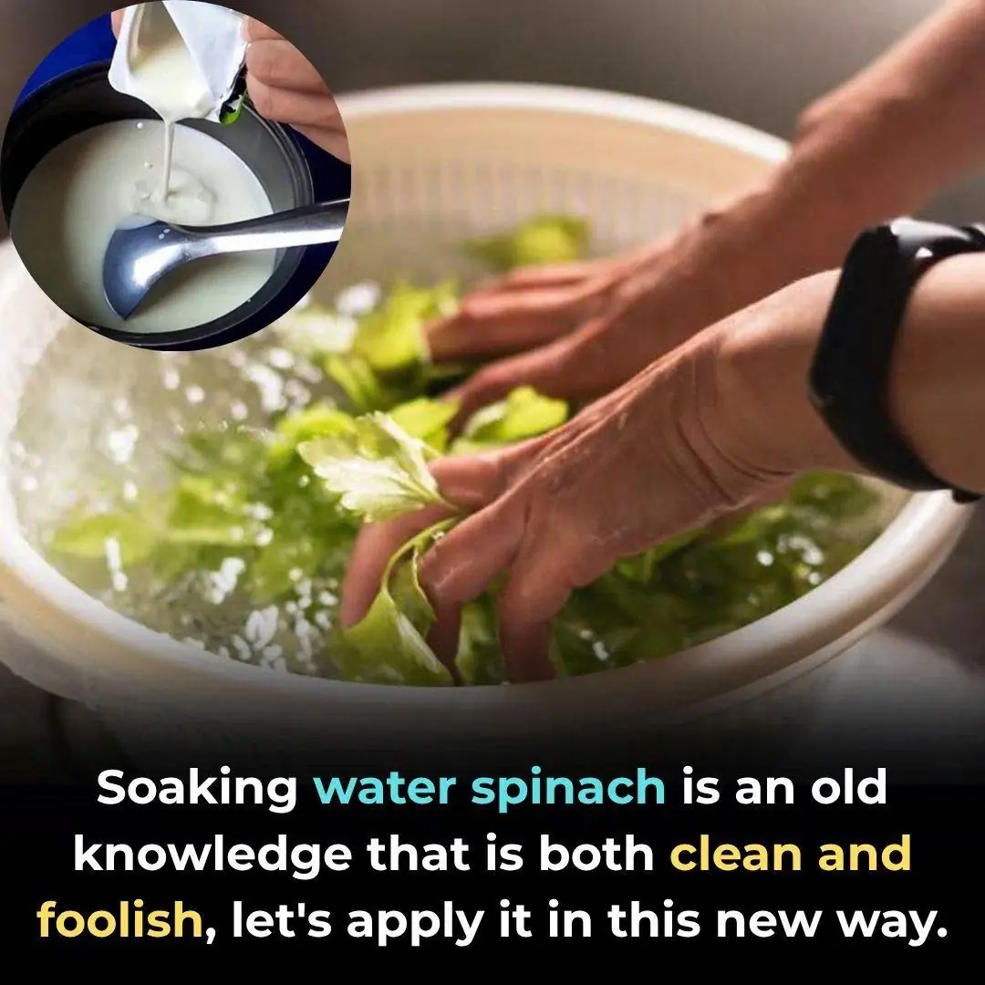 Soaking water spinach is an old knowledge that is both clean and foolish, let's apply it in this new way.