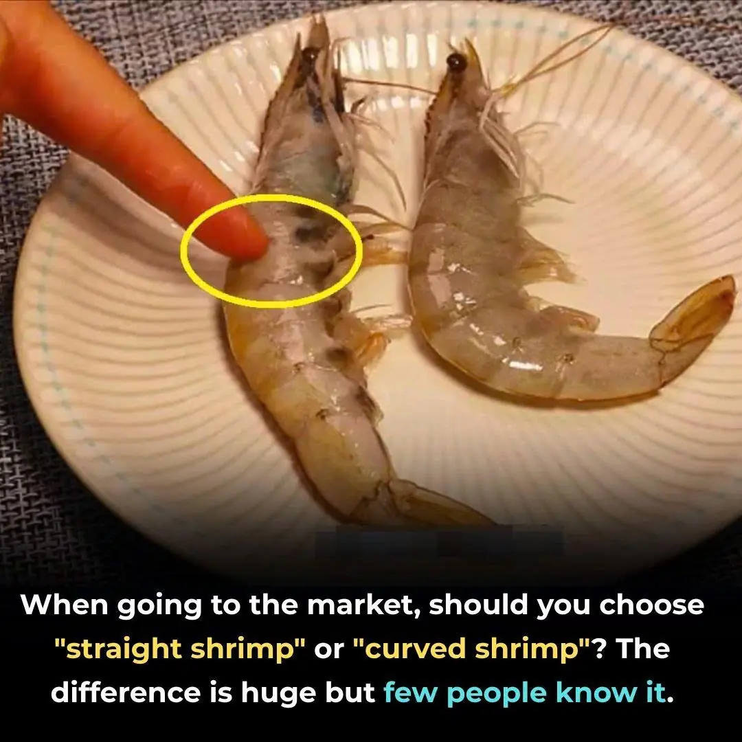 When going to the market, should you choose "straight shrimp" or "curved shrimp"? The difference is huge but few people know it.