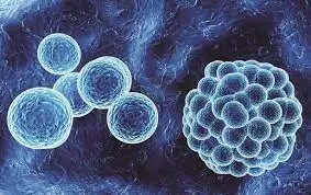 This Starves Colon Cancer Cells — and Strengthens Your Body’s Natural Defenses