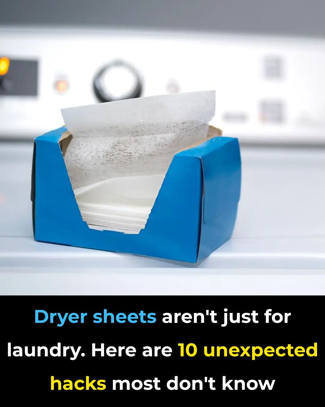 These ideas are amazing