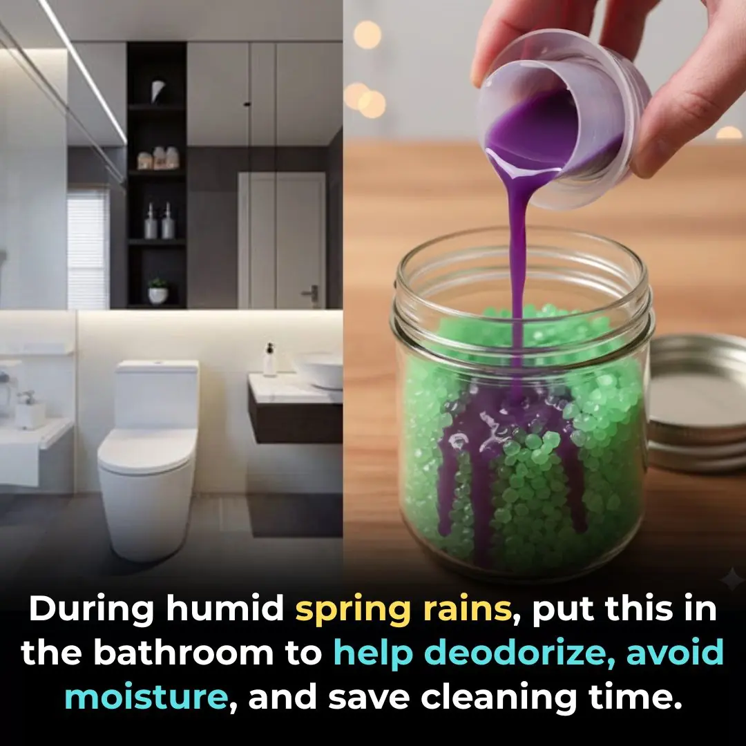 During humid spring rains, put this in the bathroom to help deodorize, avoid moisture, and save cleaning time.