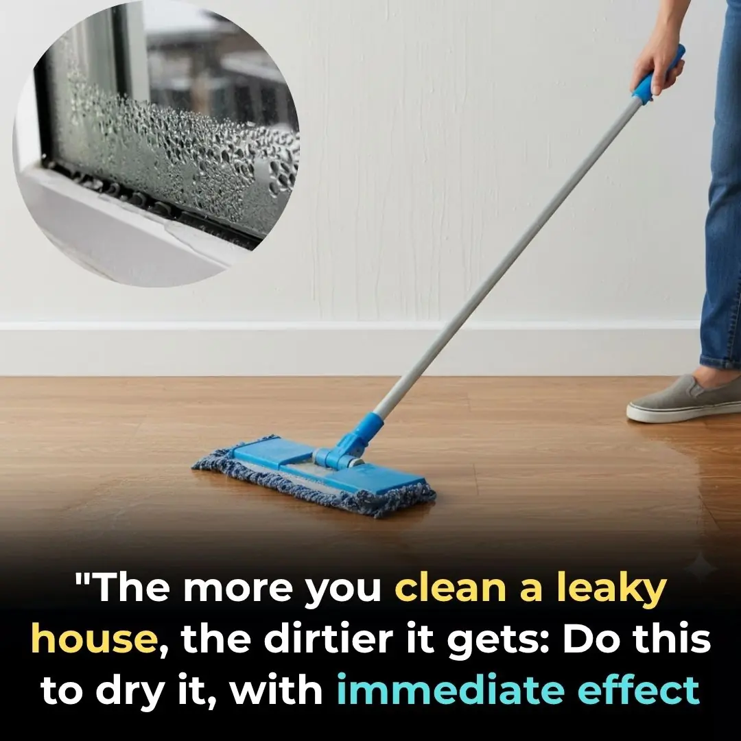 The more you clean a leaky house, the dirtier it gets: Do this to dry it, with immediate effect