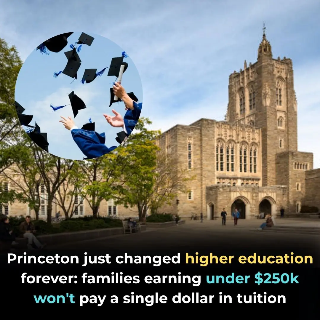 Princeton Just Changed Higher Education Forever: Families Earning Under $250K Won’t Pay a Single Dollar in Tuition