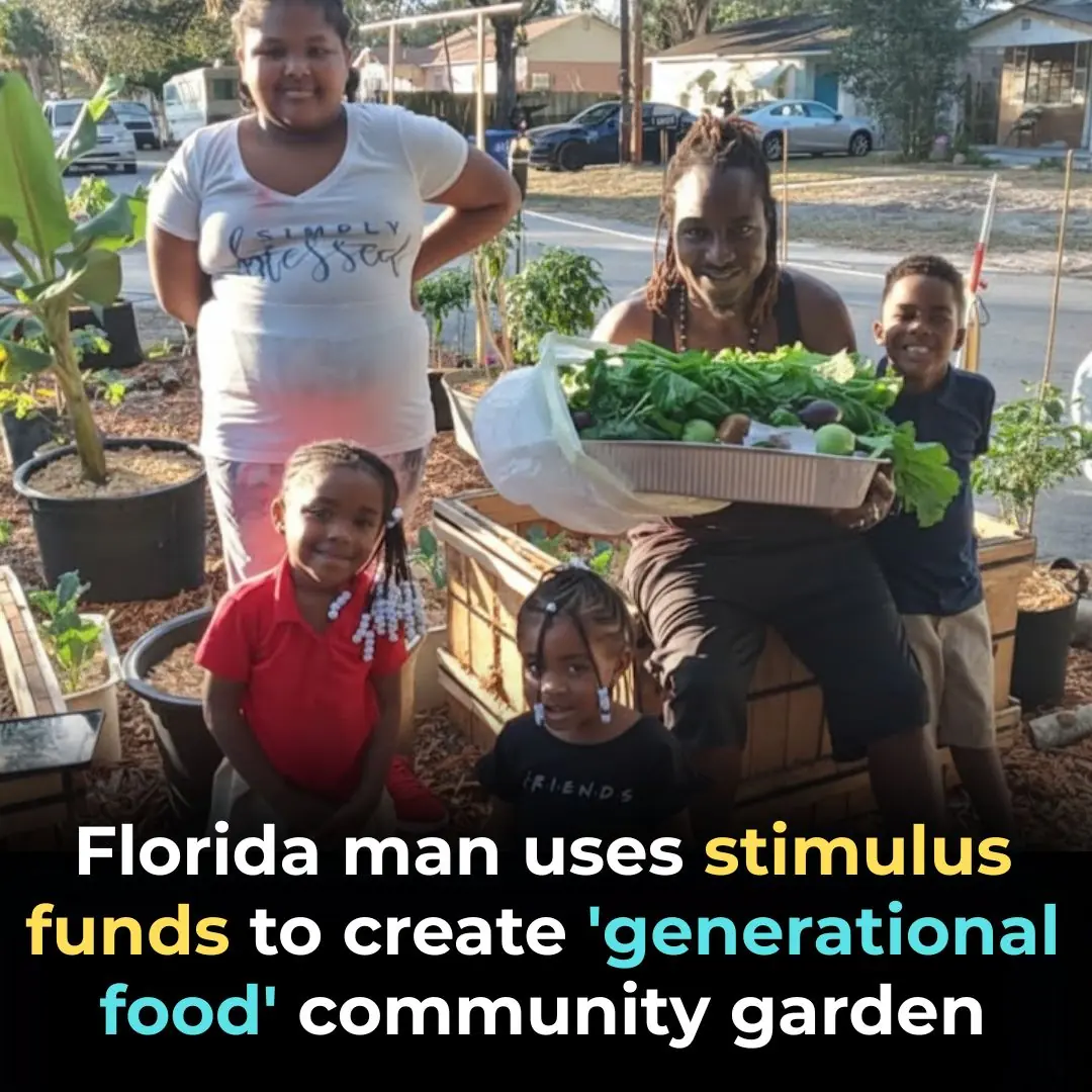 Florida Man Uses Stimulus Funds To Create ‘Generational Food’ Community Garden