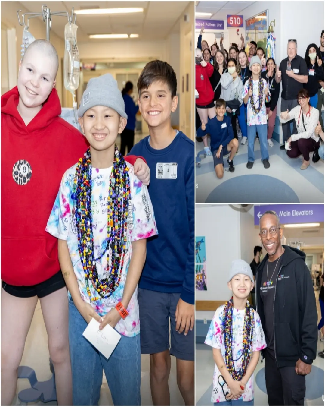 Zi Long’s Story: A Bell of Courage and New Beginnings