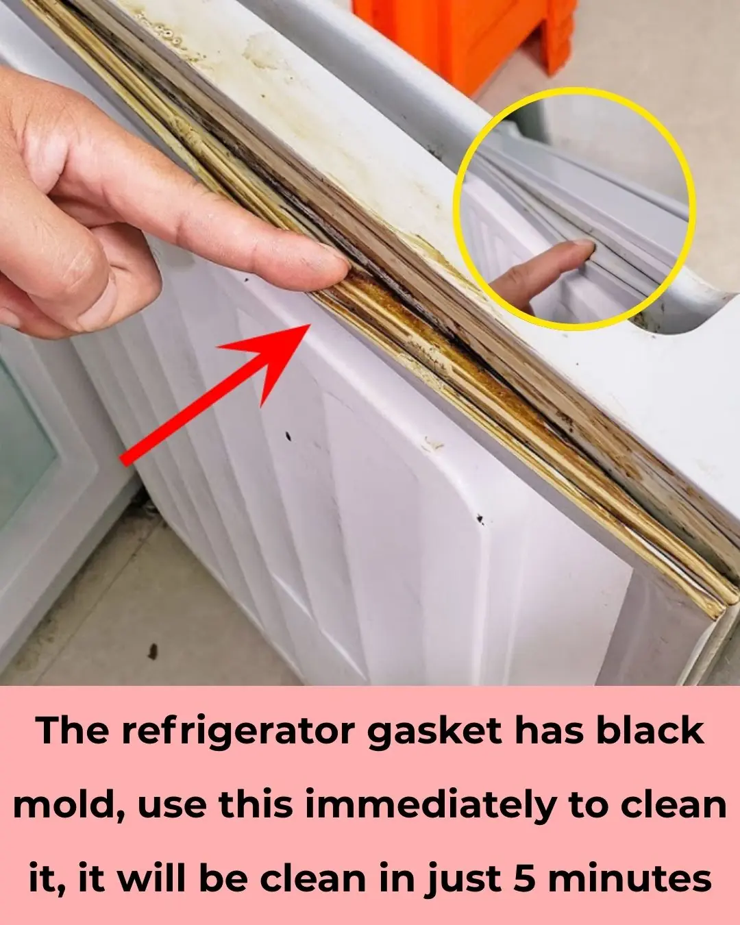 Black Mold on Refrigerator Seals? Use This Trick to Clean It in Just 5 Minutes