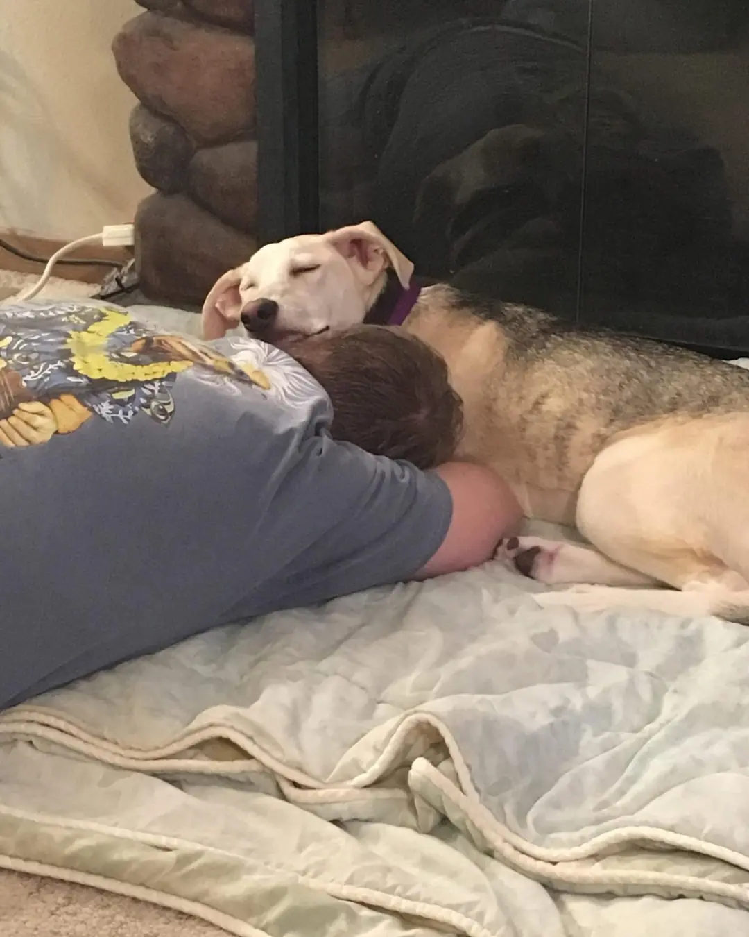 The Healing Power of Patience and Love: A Rescue Story