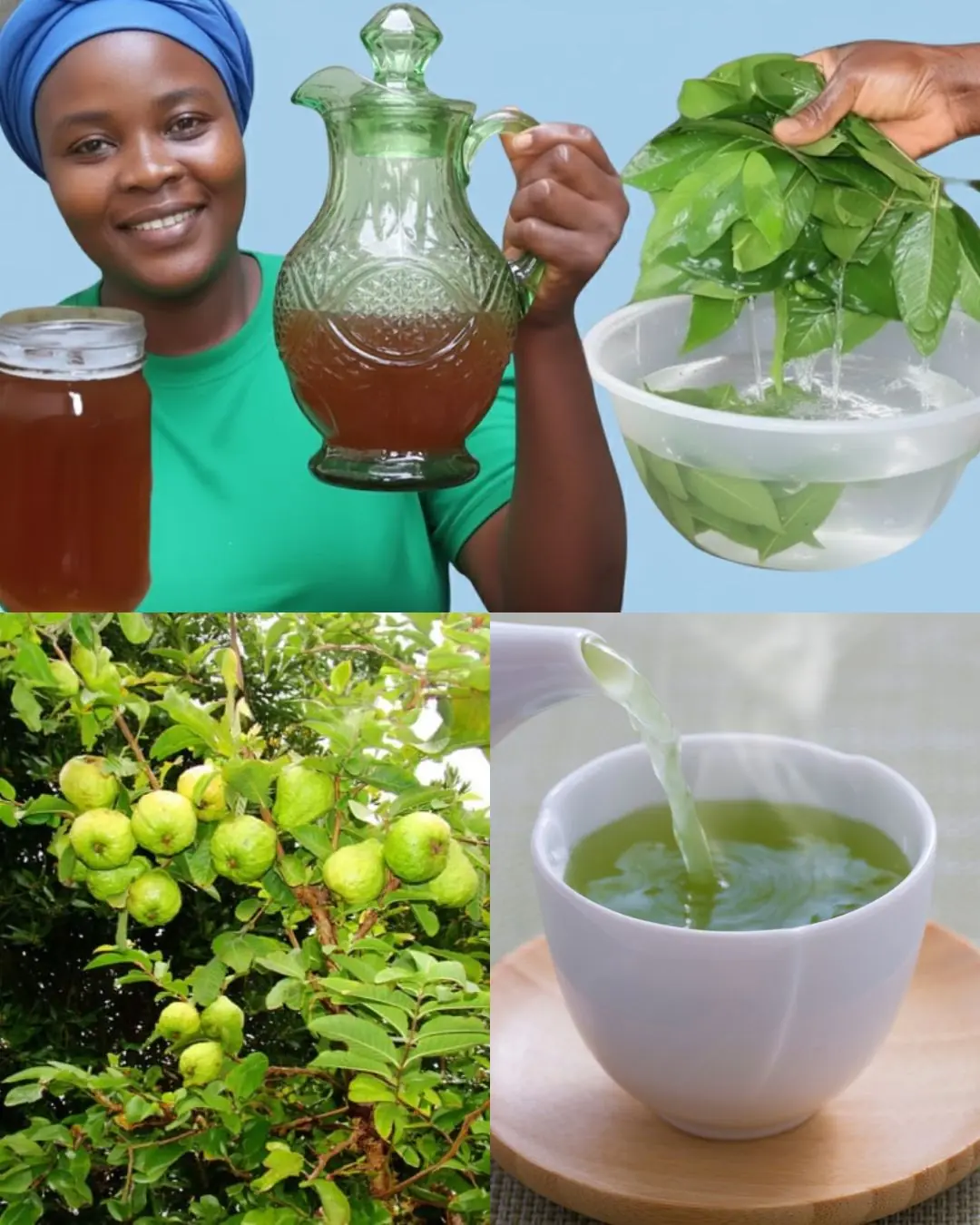 🍃 17 Reasons to Drink Guava Leaf Tea Twice a Week