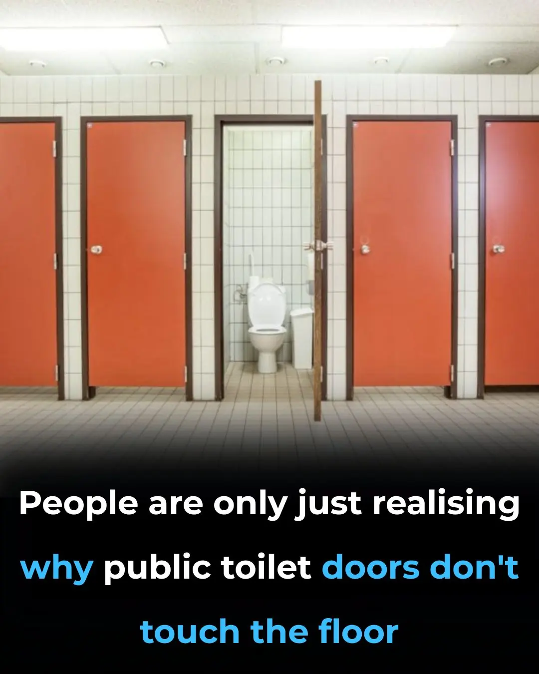The reasons why public toilet doors don't touch the ground.