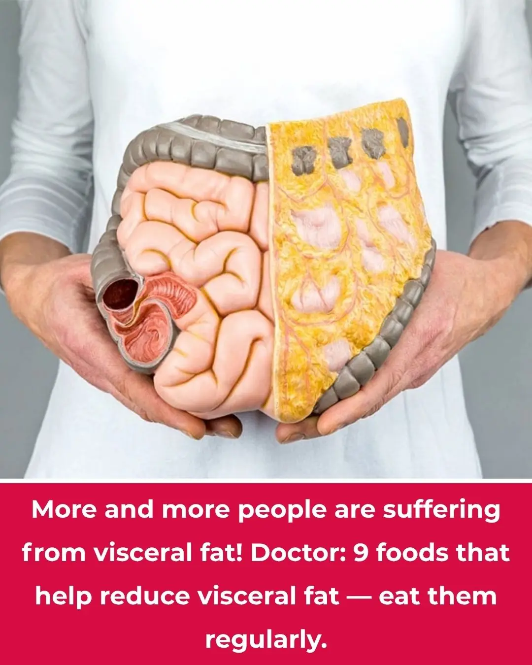 More People Are Struggling with Visceral Fat — Doctors Reveal 9 Foods That Help Burn It Naturally