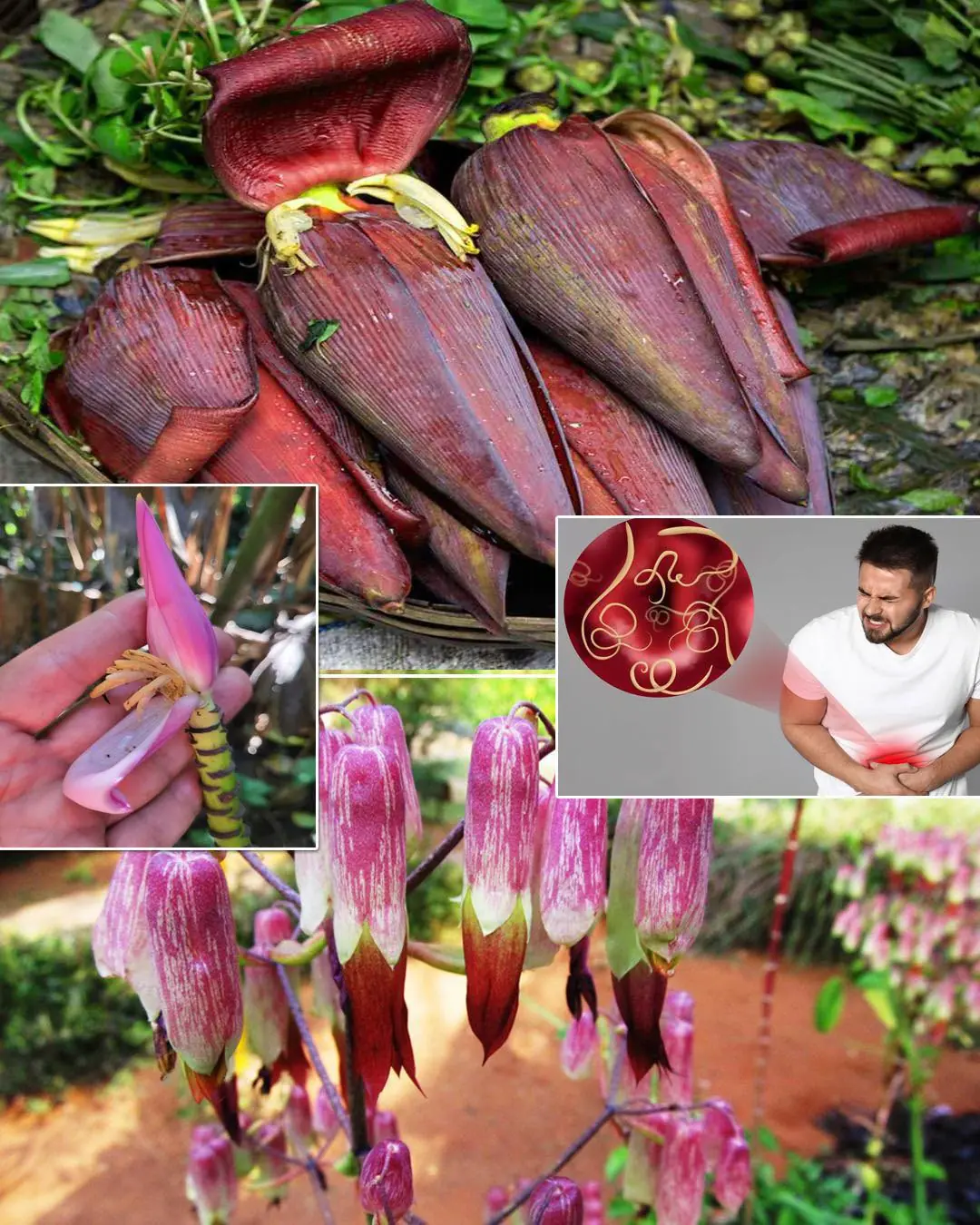 7 Amazing Health Benefits of Banana Blossoms