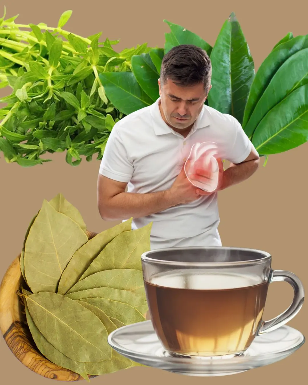 The Healing Leaves That Fight Disease Naturally: Diabetes, Poor Circulation, High Blood Pressure & Even Cancer 🌿💚