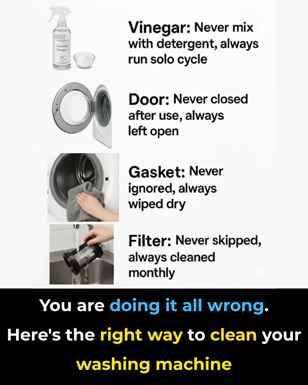 You are doing it all wrong. Here's the right way to clean your washing machine