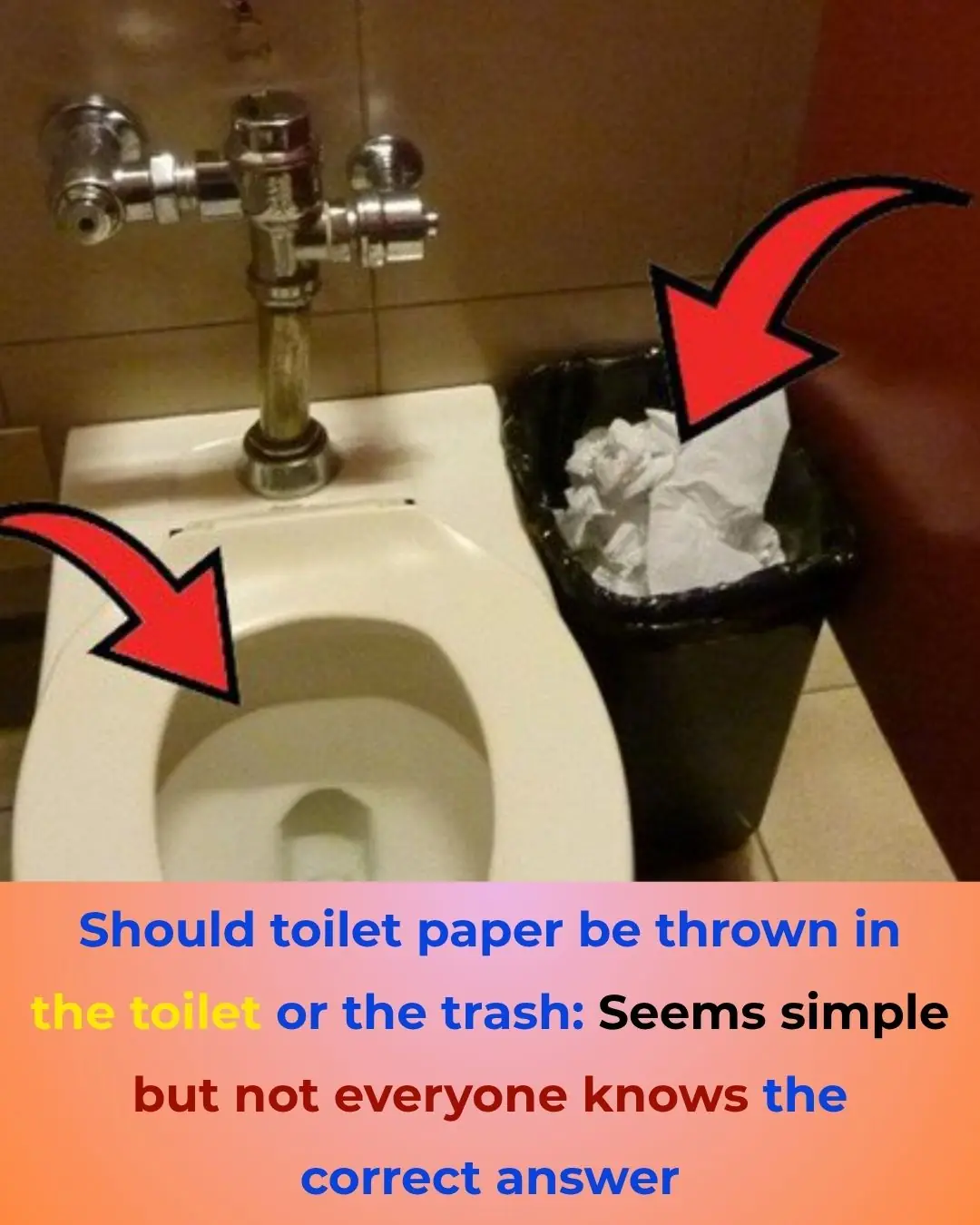 Should You Throw Toilet Paper in the Toilet or in the Trash?