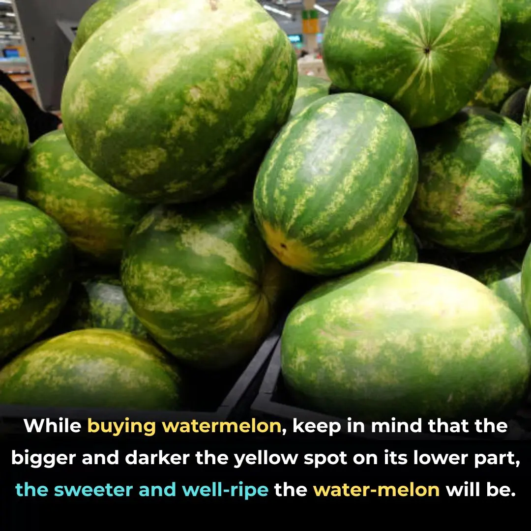 See why and how to choose melon effectively...