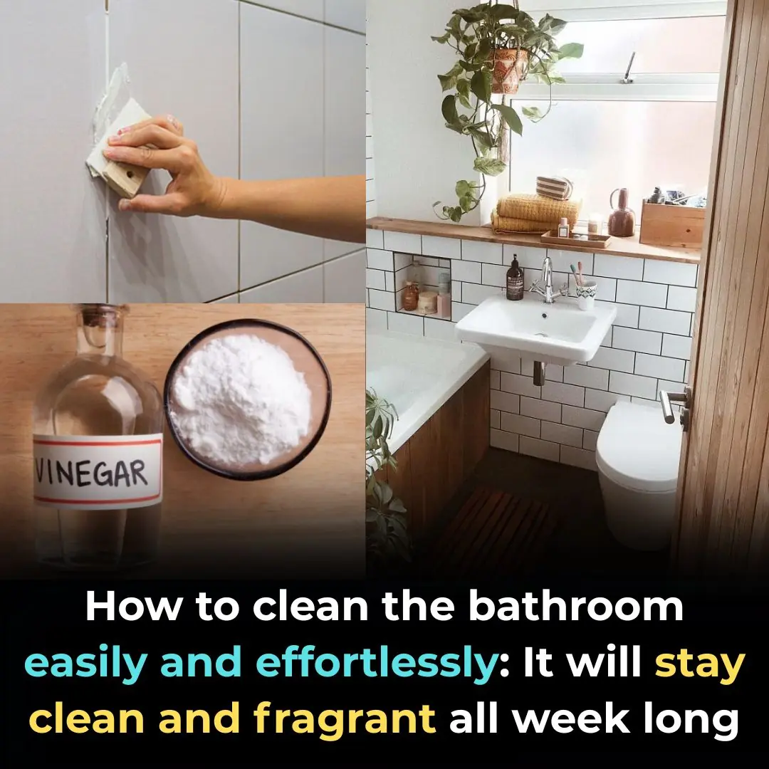 How to clean the bathroom easily and effortlessly: It will stay clean and fragrant all week long