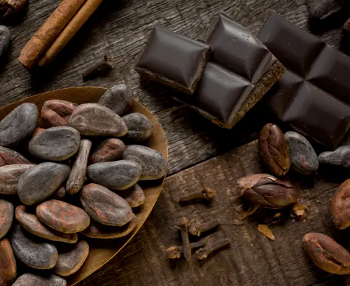 Dark Chocolate and Tea Found to Significantly Lower Blood Pressure