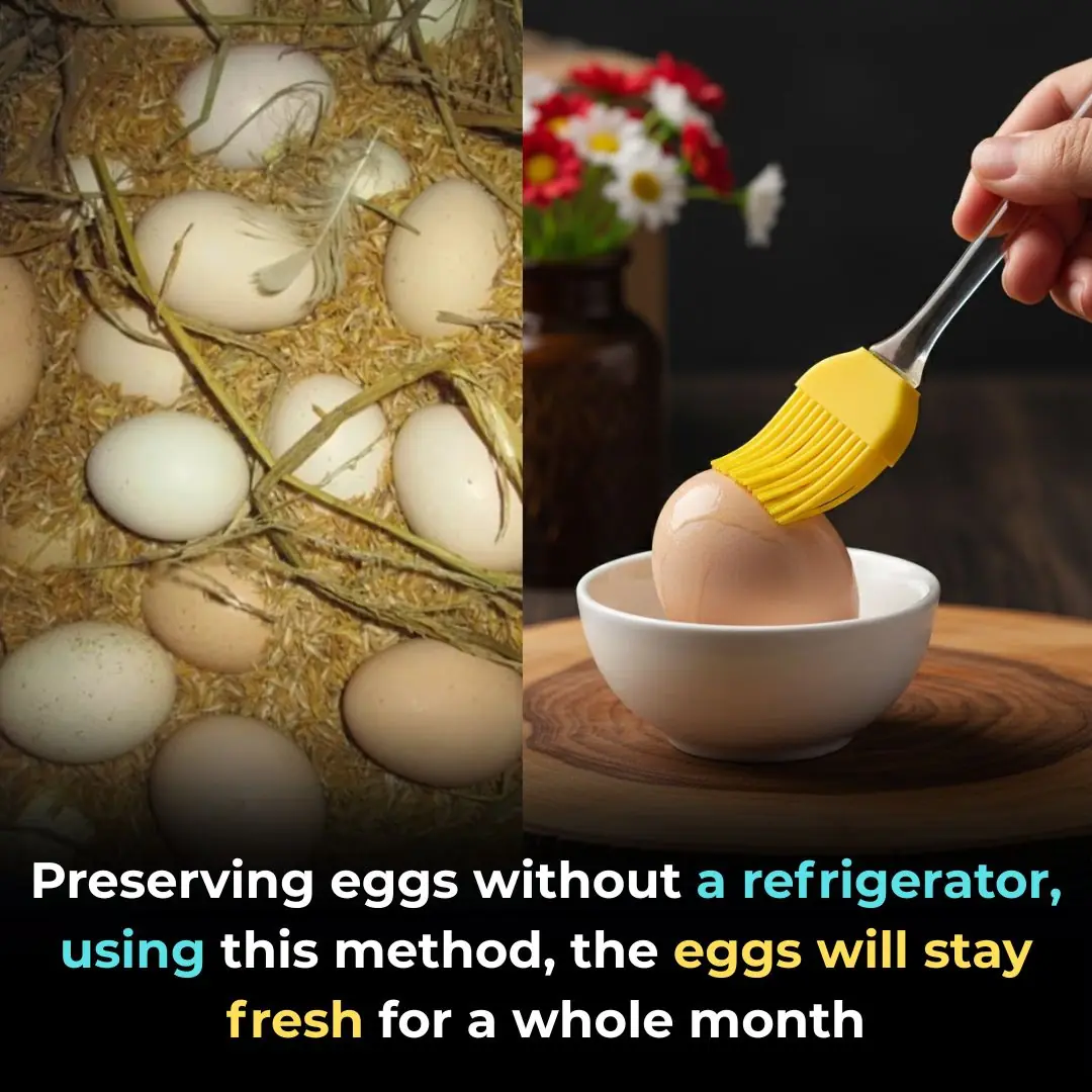 Preserving eggs without a refrigerator, using this method, the eggs will stay fresh for a whole month