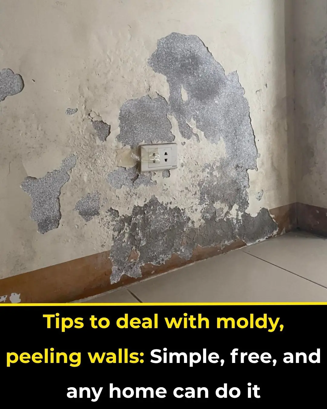 Simple, Cost-Free Ways to Fix Moldy or Peeling Walls — Easy Solutions for Every Home