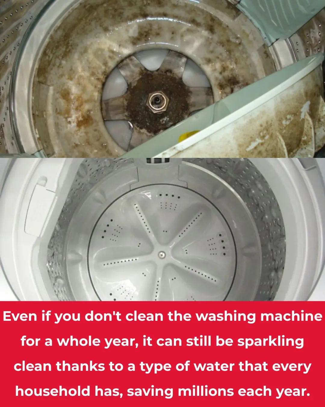 Washing machine stays clean all year without scrubbing thanks to a common household liquid, saving millions every year 👇👇