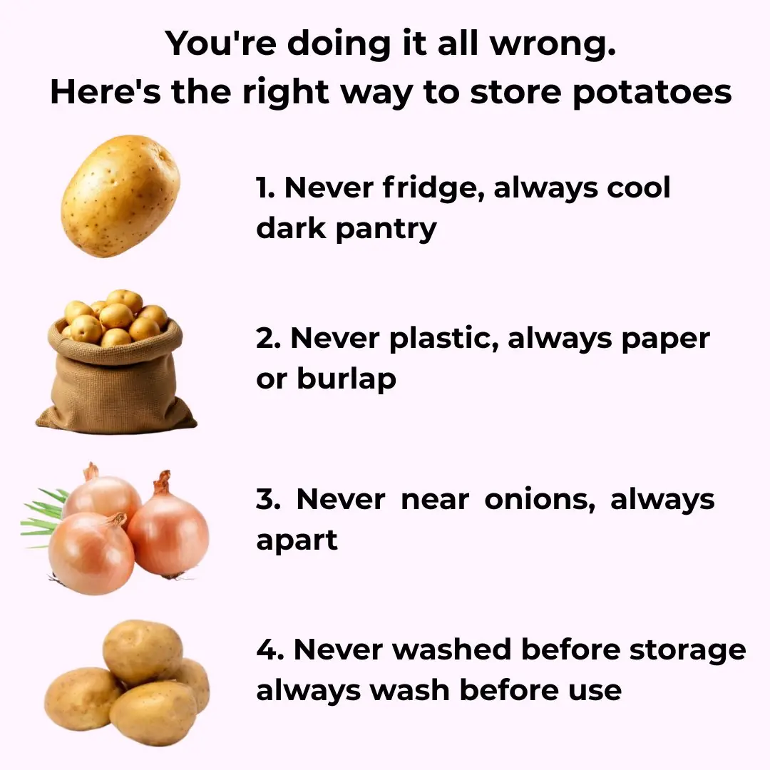 You're doing it all wrong. Here’s the right way to store potatoes