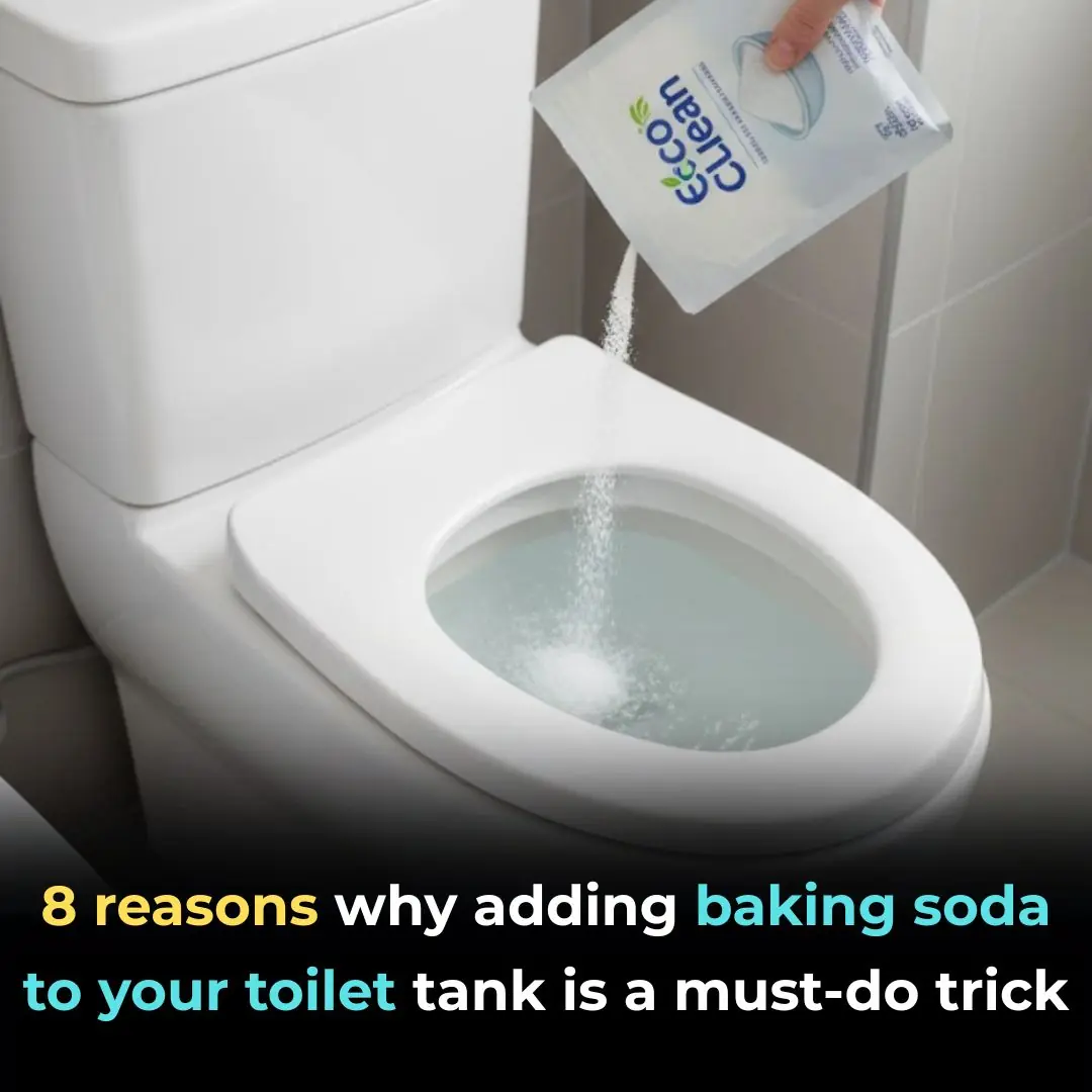 8 reasons why adding baking soda to your toilet tank is a must-do trick