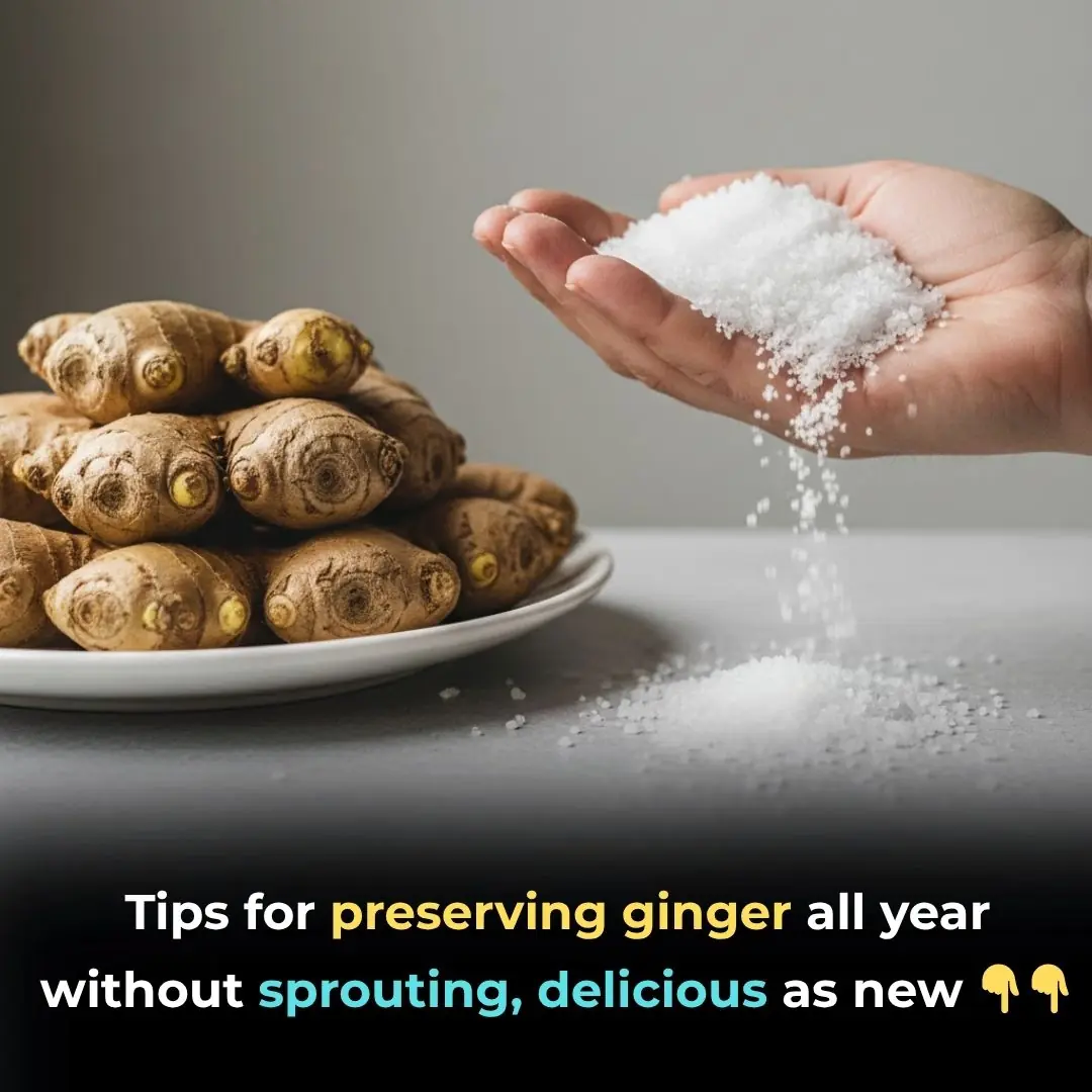 Tips to preserve ginger all year without sprouting, delicious as new