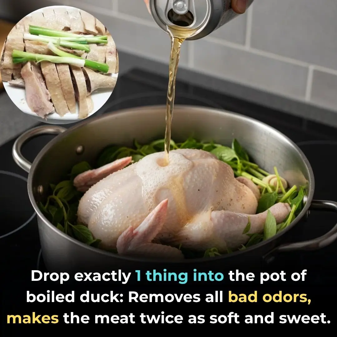 Drop exactly 1 thing into the pot of boiled duck: Removes all bad odors, makes the meat twice as soft and sweet.