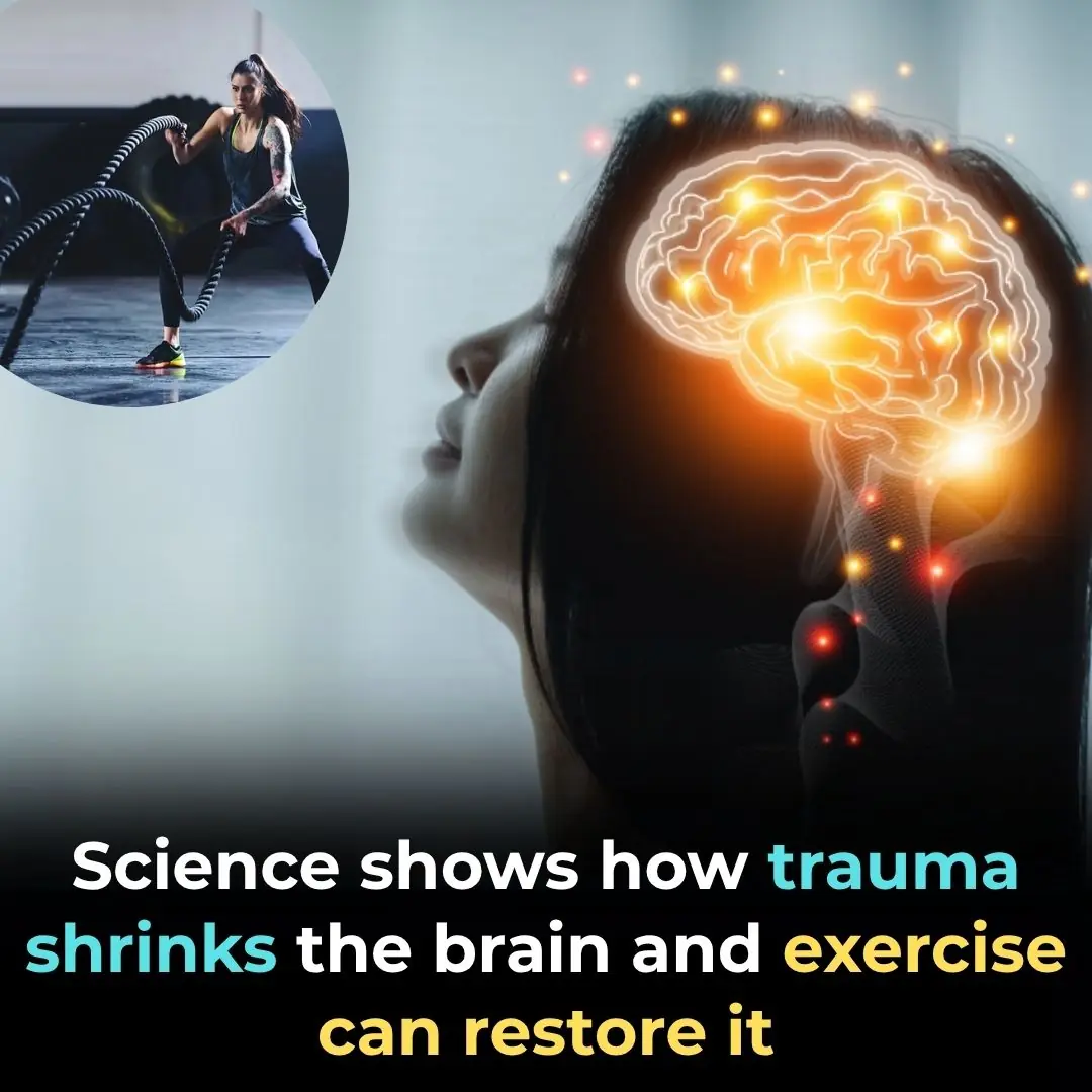 How Science Reveals the Hidden Power of the Brain to Heal from Emotional Trauma