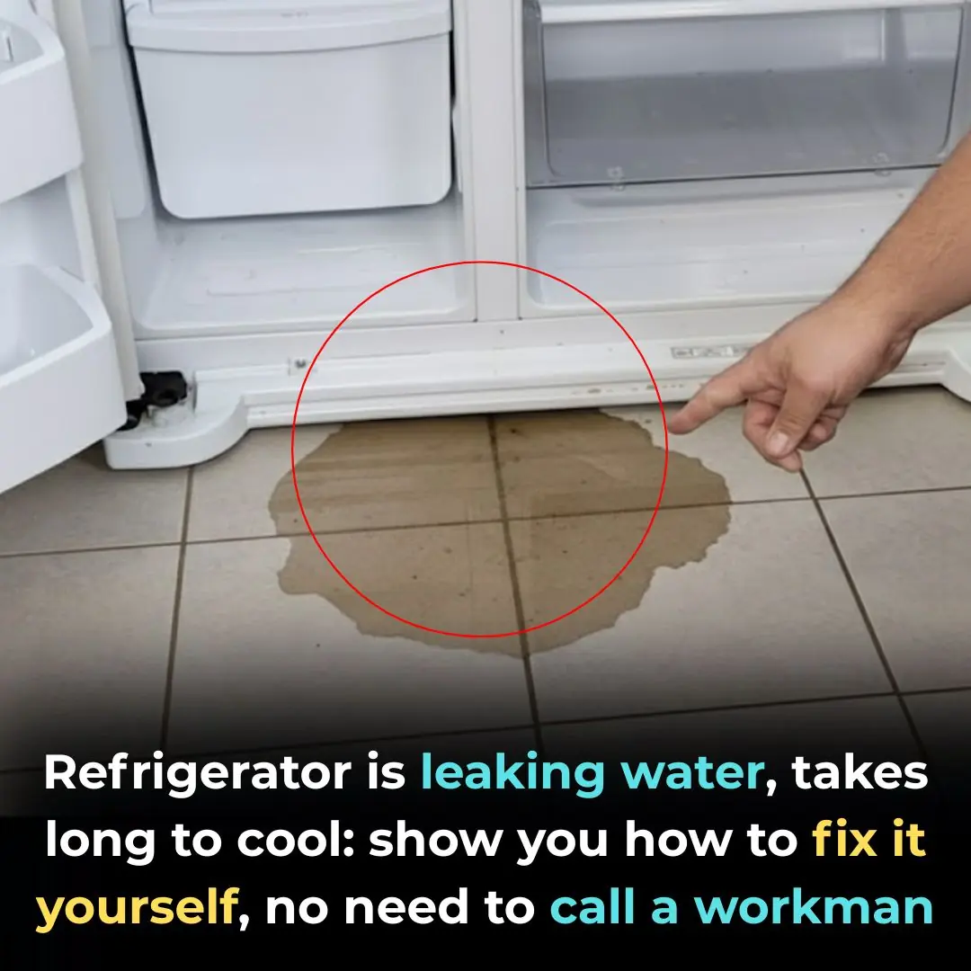 Cold water refrigerator, long cooling