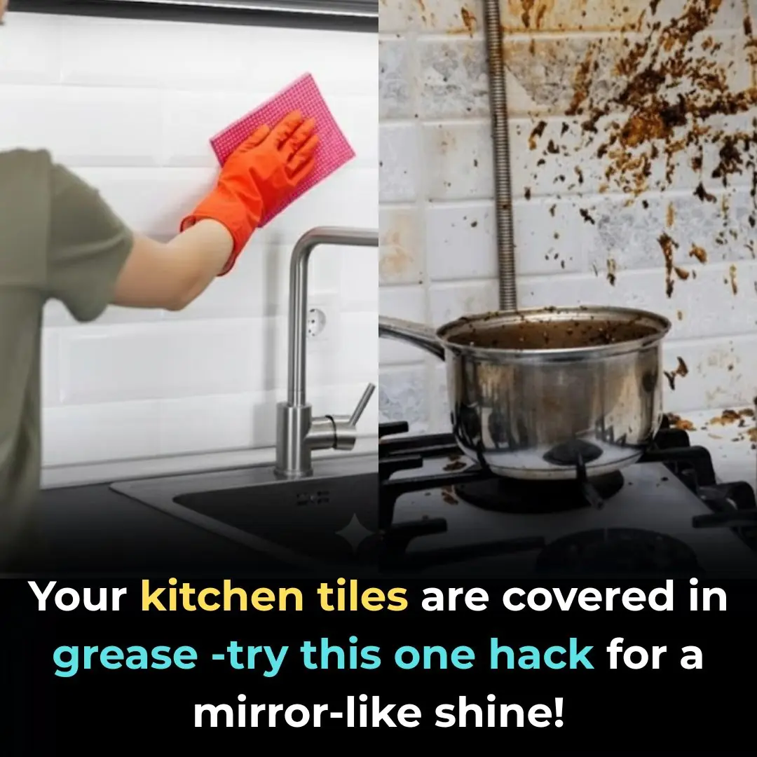 The tiles of the Eight-Fourth Kitchen are greasy