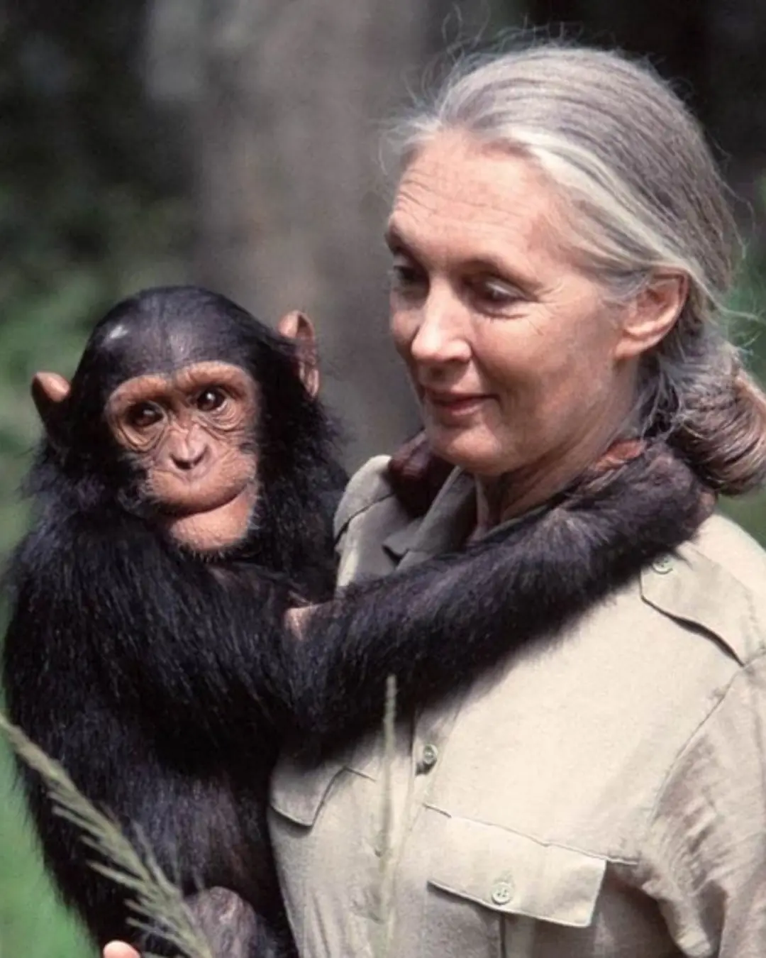 The Woman Who Taught the World to Listen.