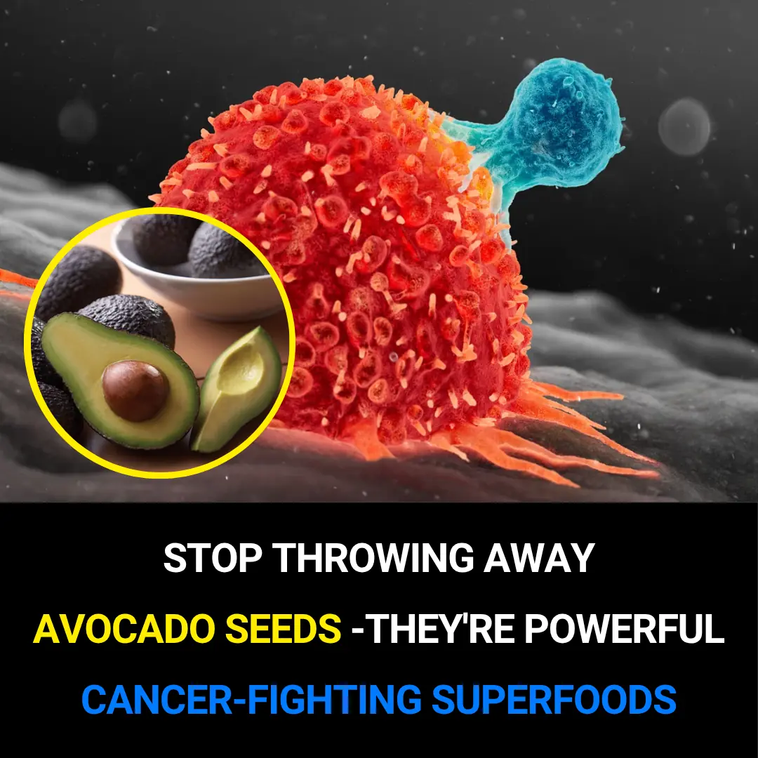 Stop Throwing Away Avocado Seeds: They’re Powerful Cancer Fighters!