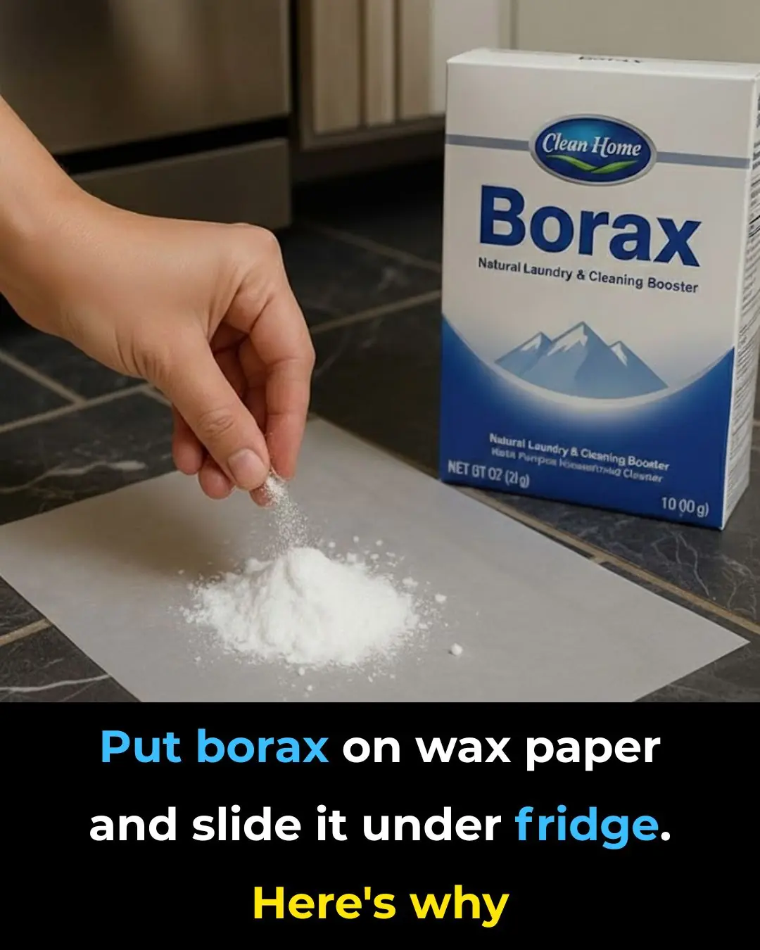 Put borax on wax paper and slide it under fridge. Here's why