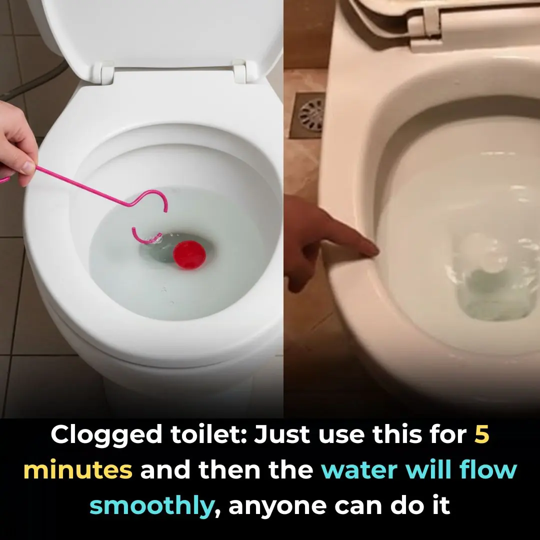 Clogged Toilet? Try This Simple Trick — Within 5 Minutes, the Water Flows Smoothly Again