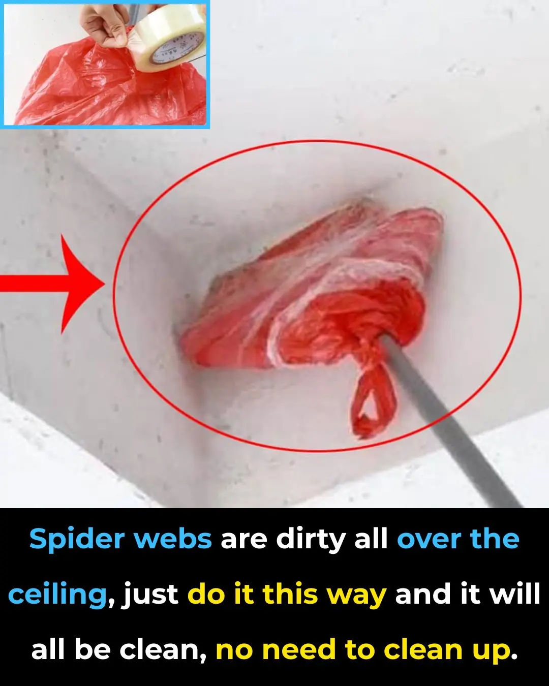How to Quickly Remove Spider Webs from the Ceiling Without Sweeping Up Dust