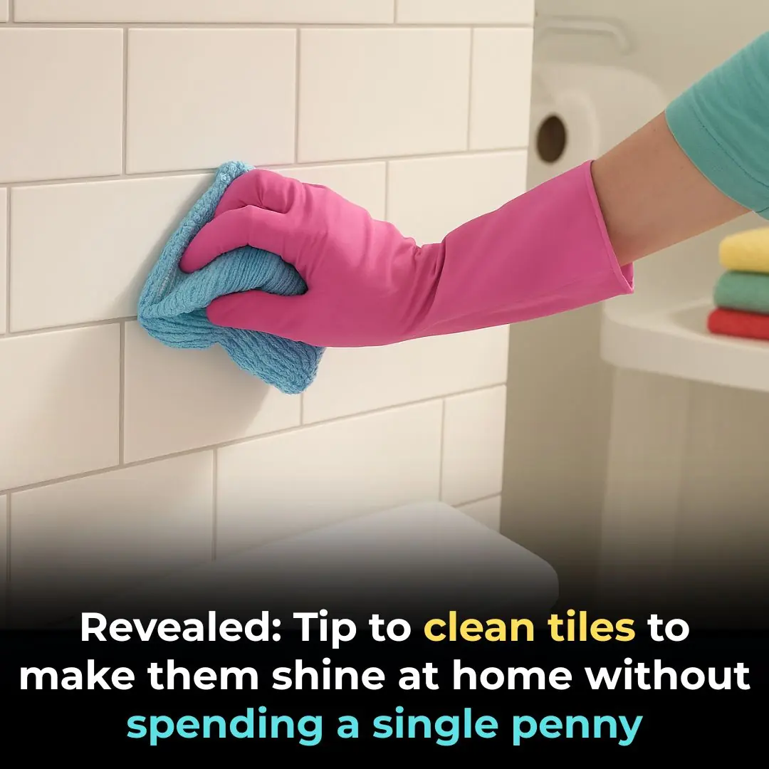 Revealed: Tips to clean tiles to shine at home without spending a dime
