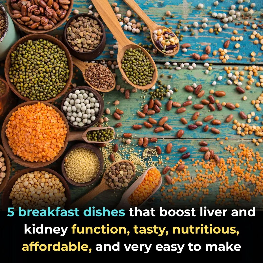 5 breakfast dishes that boost liver and kidney function, tasty, nutritious, affordable, and very easy to make