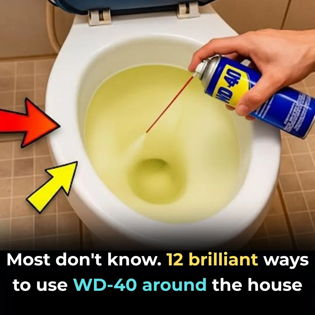 Most don’t know. 12 brilliant ways to use WD-40 around the house